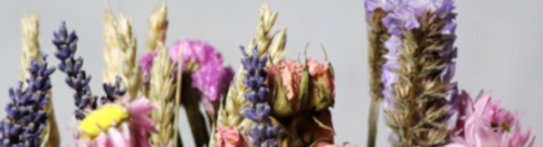 Guide to Preserved Flowers