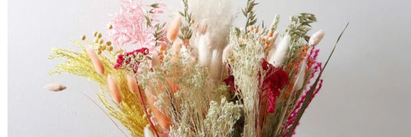 Best Dried Flowers Under £30