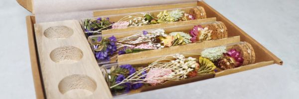 How Long Do Dried Flowers Last? Care and Longevity Tips
