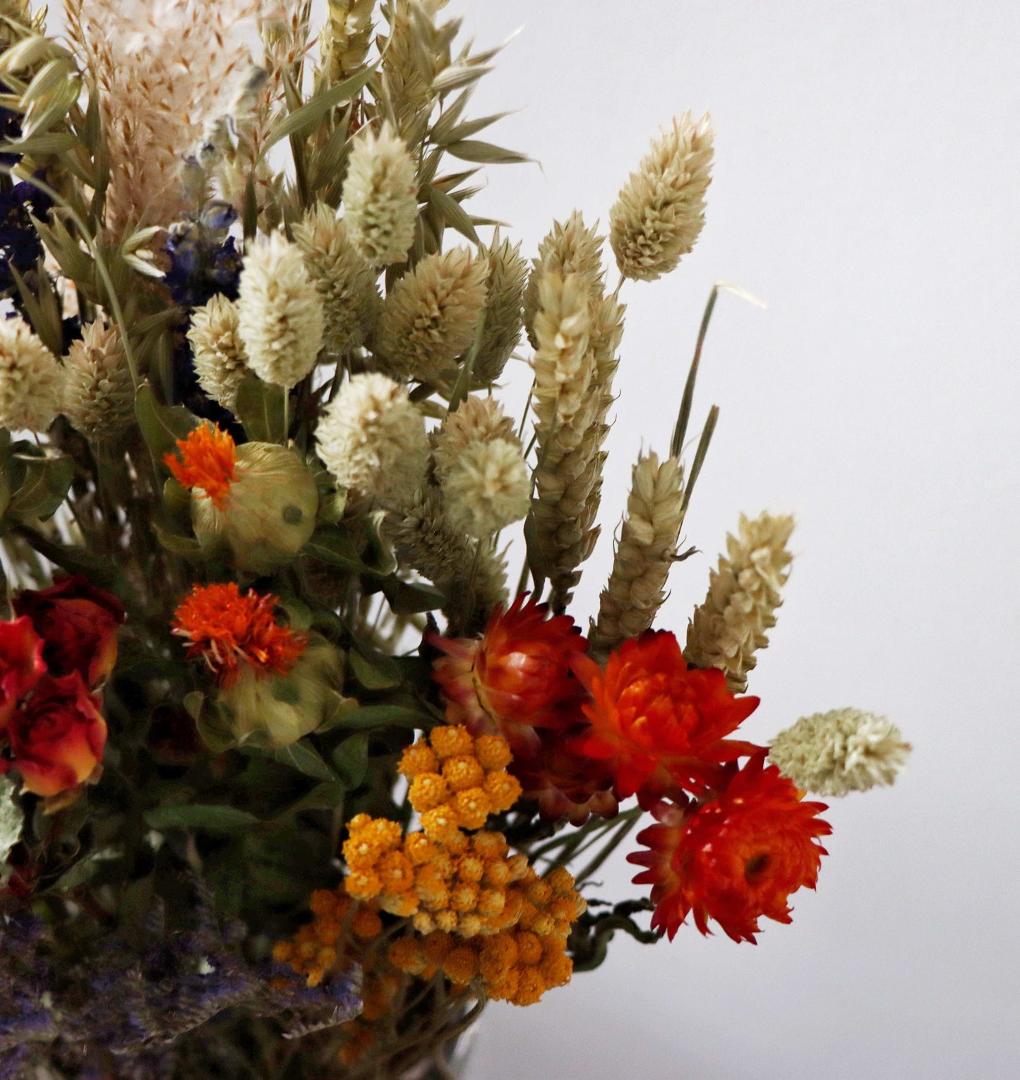 A bouquet of dried flowers in a vase, featuring red and orange strawflowers, yellow billy buttons, and dried grasses against a plain white background.
