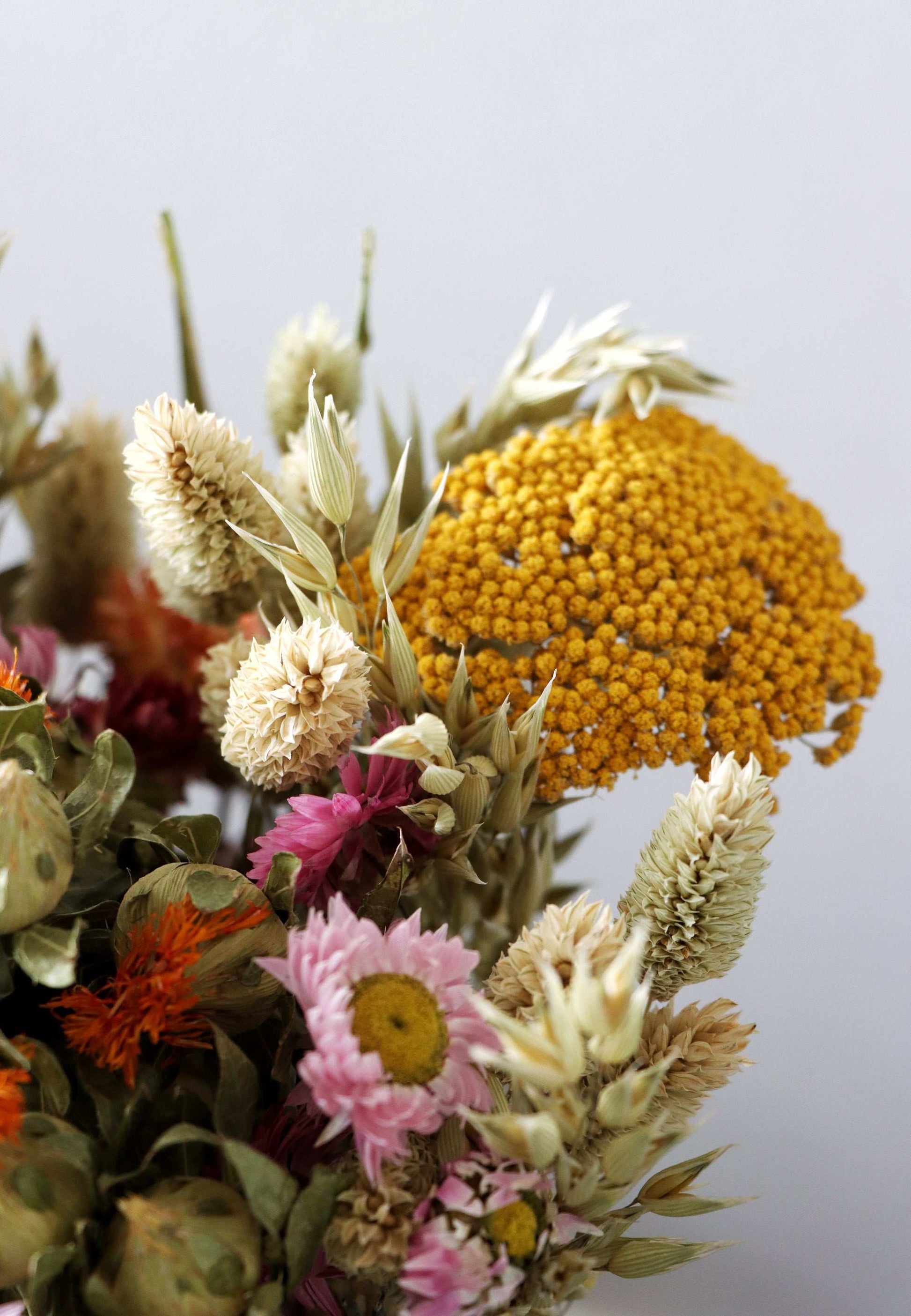Festival Meadow - Botanical Bouquet