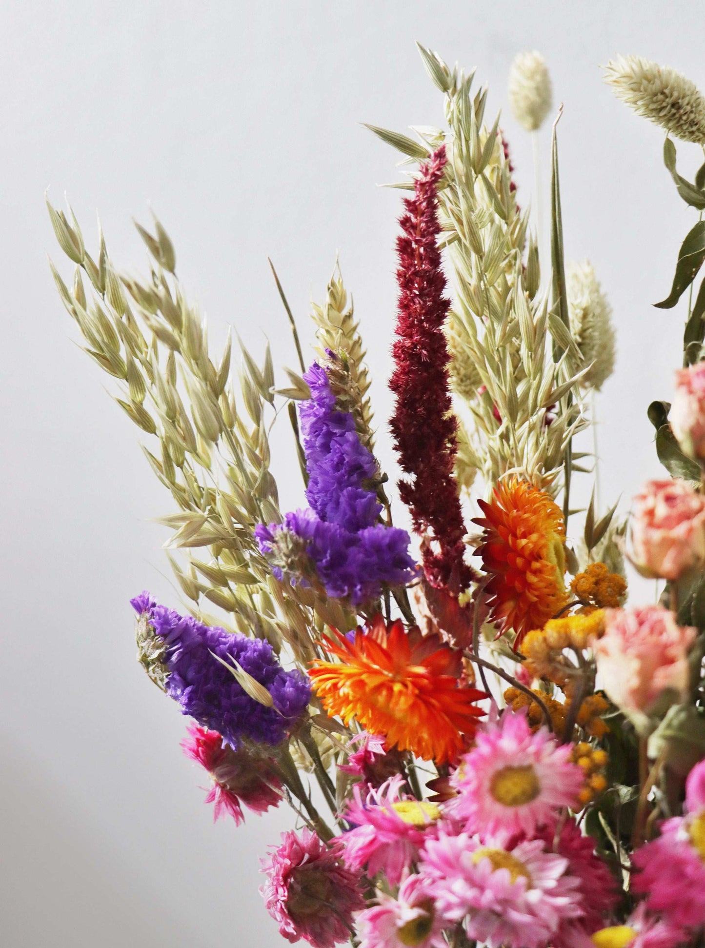 A vibrant bouquet of dried flowers in a vase, featuring purple statice, red amaranth, orange and pink strawflowers, and dried grasses against a plain grey background.