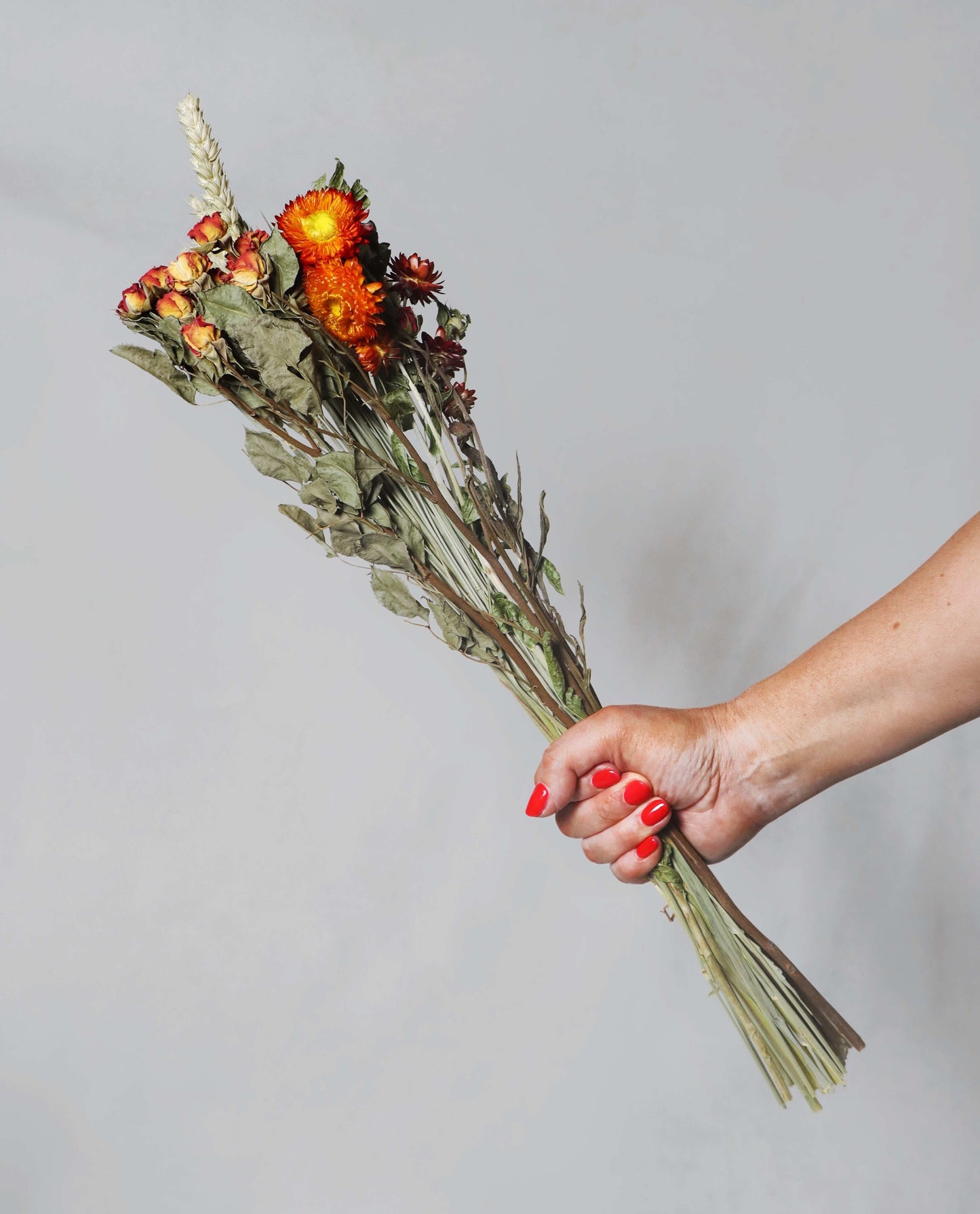 Hand holding a bunch of dried flowers with orange and red blooms and wheat stalks against a grey background.