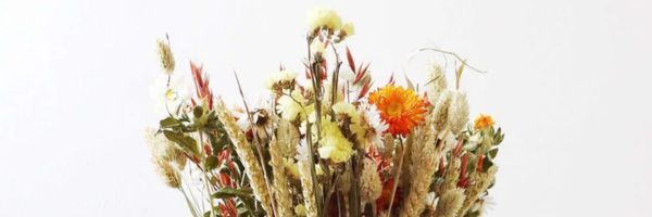 Autumn Gifting with Dried Flowers