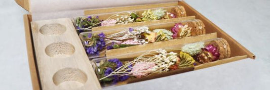 How Long Do Dried Flowers Last? Care and Longevity Tips