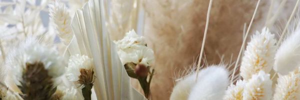 Mother’s Day, Birthdays & Anniversaries: When to Gift Dried Flowers