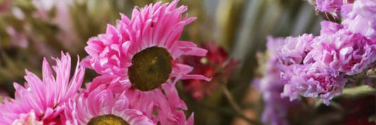 Dried Flowers for UK Housewarming Gifts: Welcoming New Beginnings