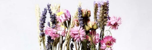 Sustainable Dried Flowers UK: Office Decor Guide