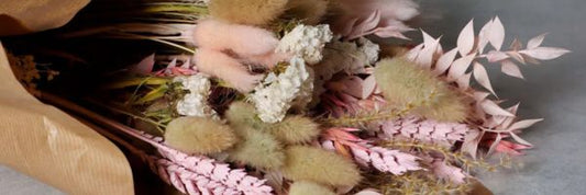 Dried Flowers for Pet Owners: Safe and Stylish Home Accents