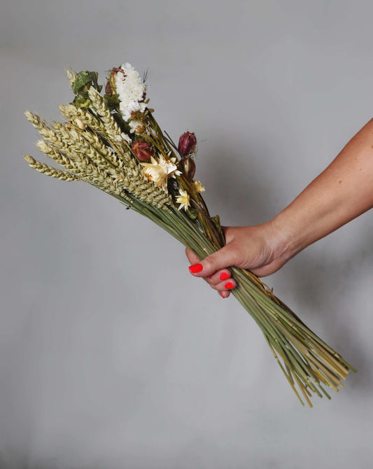 Hand holding a bunch of dried flowers with white, beige, and red blooms and wheat stalks against a grey background.