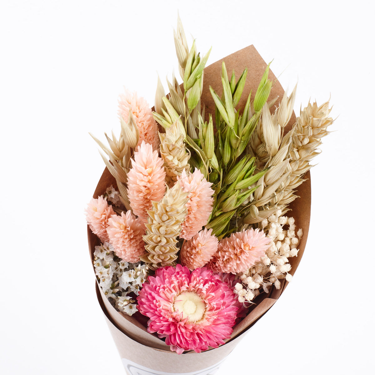 Strawflower Wren: Dried Strawflower Bouquet