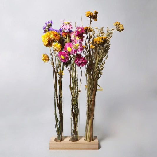 Sunlit Fiesta - Letterbox Flowers - Dried.co.uk
